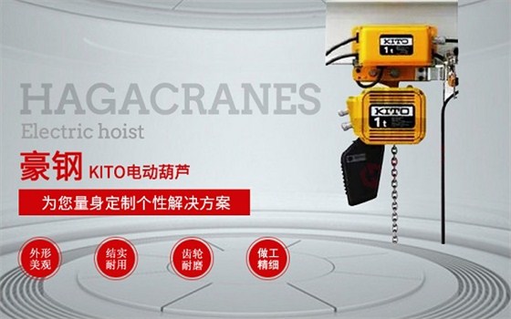 鋼絲繩電動(dòng)葫蘆圖片