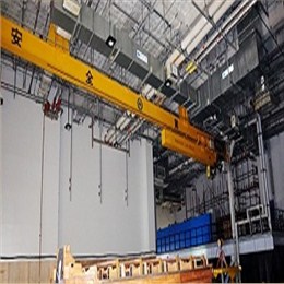 豪鋼與上海迪士尼就懸掛伸縮起重機進行合作